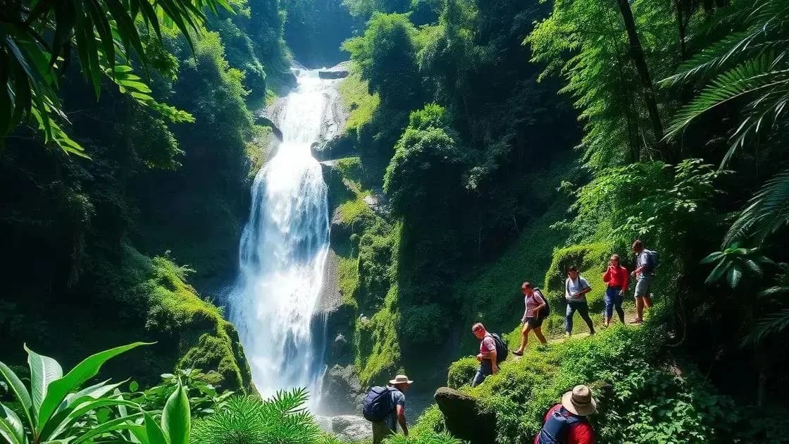 Quando visitar a Guiana: veja o período ideal para natureza e aventura