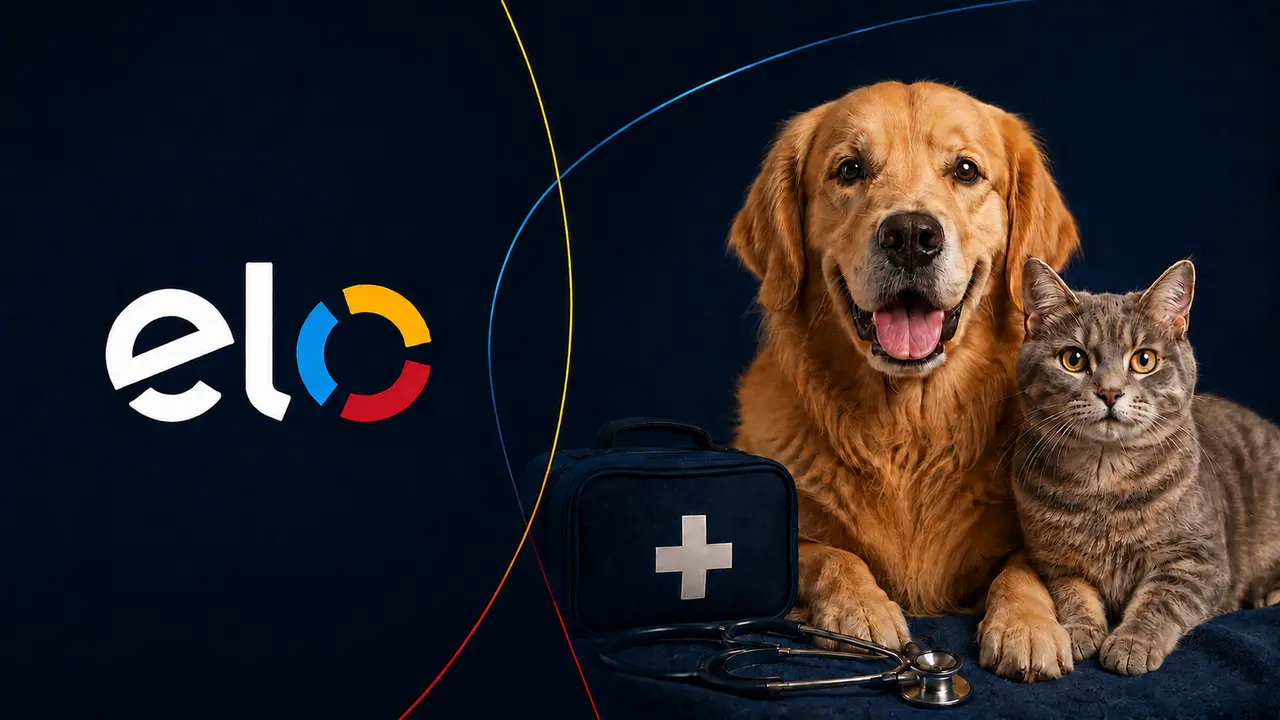 Assistência Pet Elo: serviços, limites, telefone e como usar