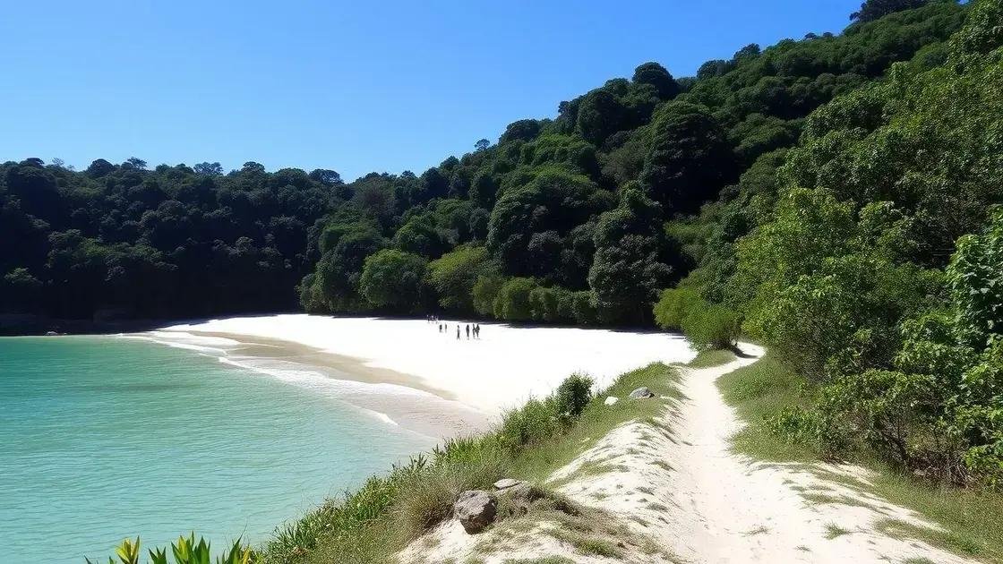 dicas para aproveitar as praias isoladas