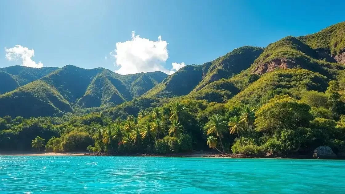 Entenda o clima de Madagascar ao longo do ano