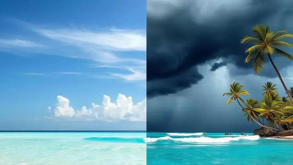 entendendo o clima tropical das Filipinas entendendo o clima tropical das Filipinas