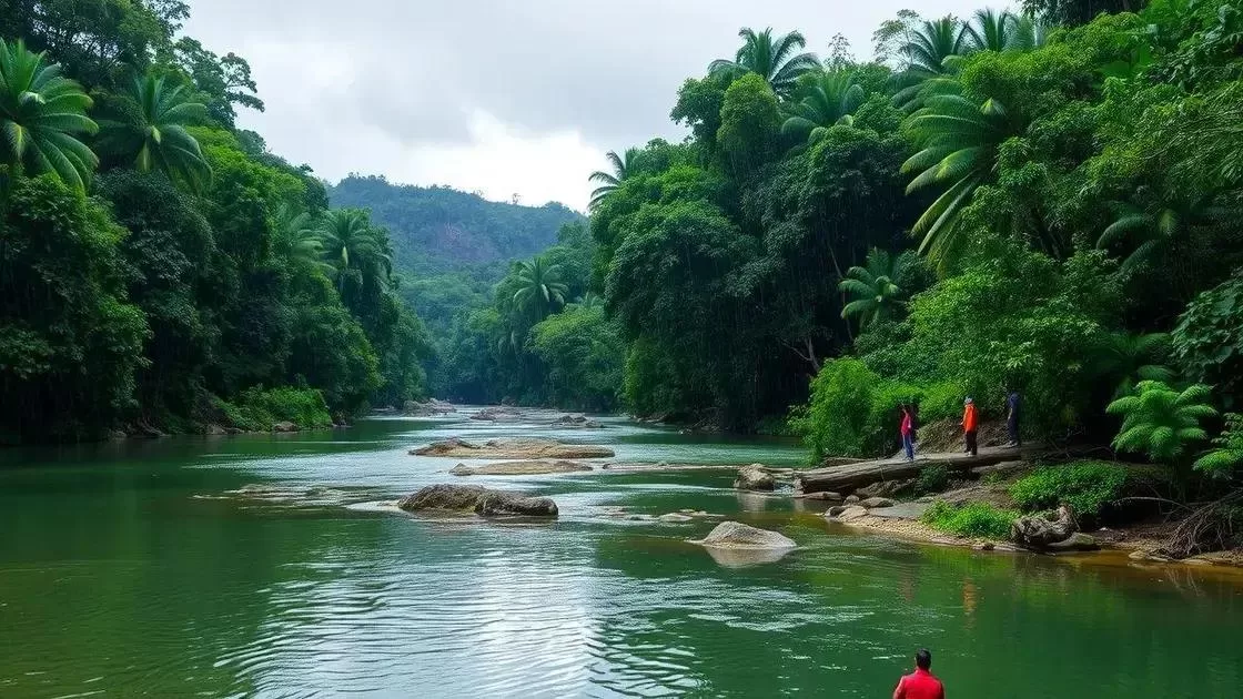 Períodos de baixa temporada e o que esperar