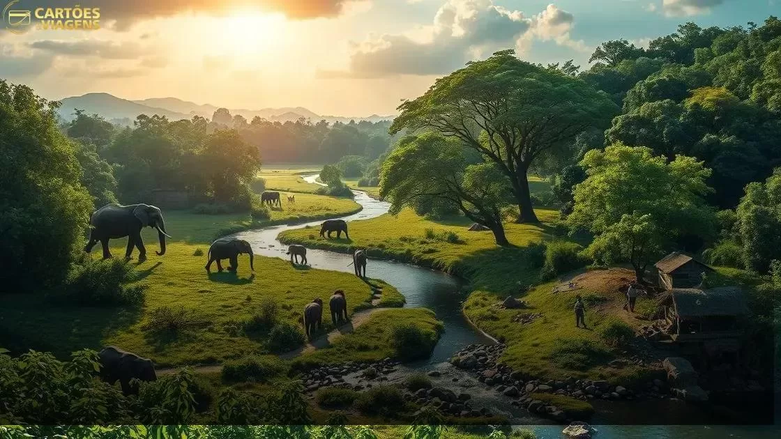 beleza natural e parques nacionais imperdíveis beleza natural e parques nacionais imperdíveis