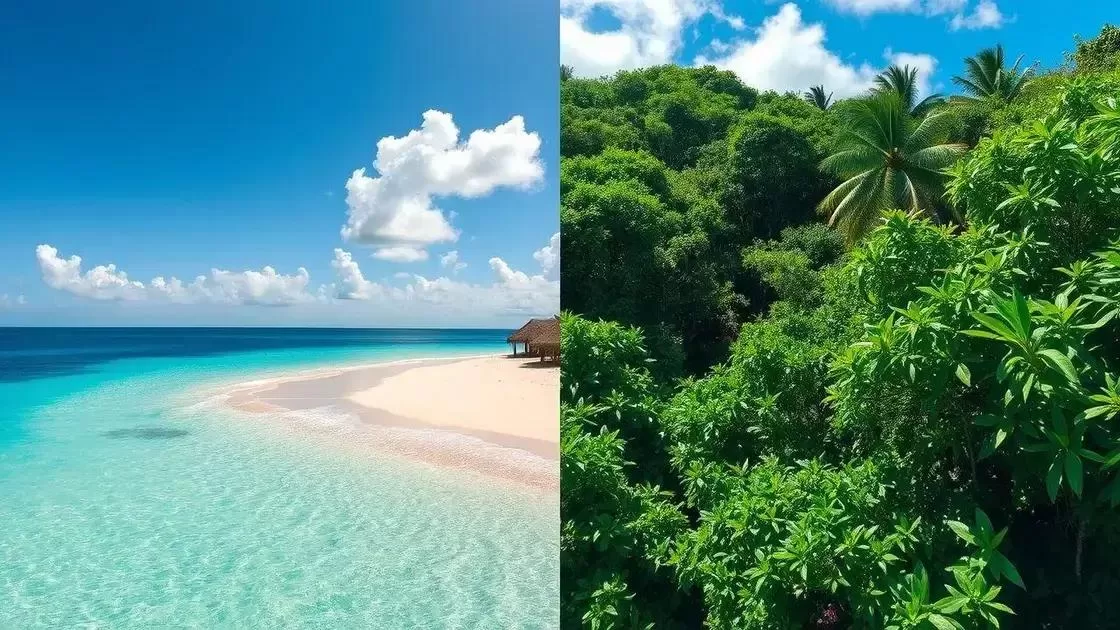 Clima e estações do ano nas Ilhas Maurício