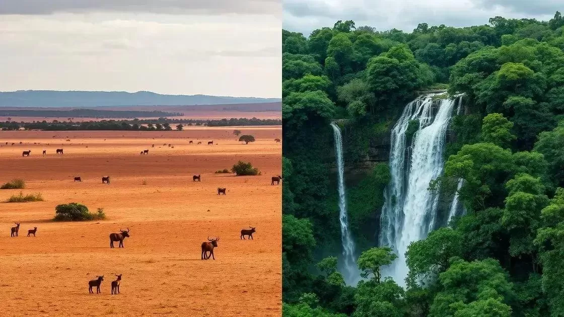 Clima e estações na Zâmbia: o que esperar