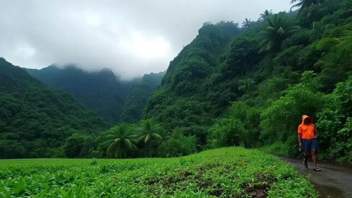 Como a estação das chuvas influencia sua viagem Como a estação das chuvas influencia sua viagem