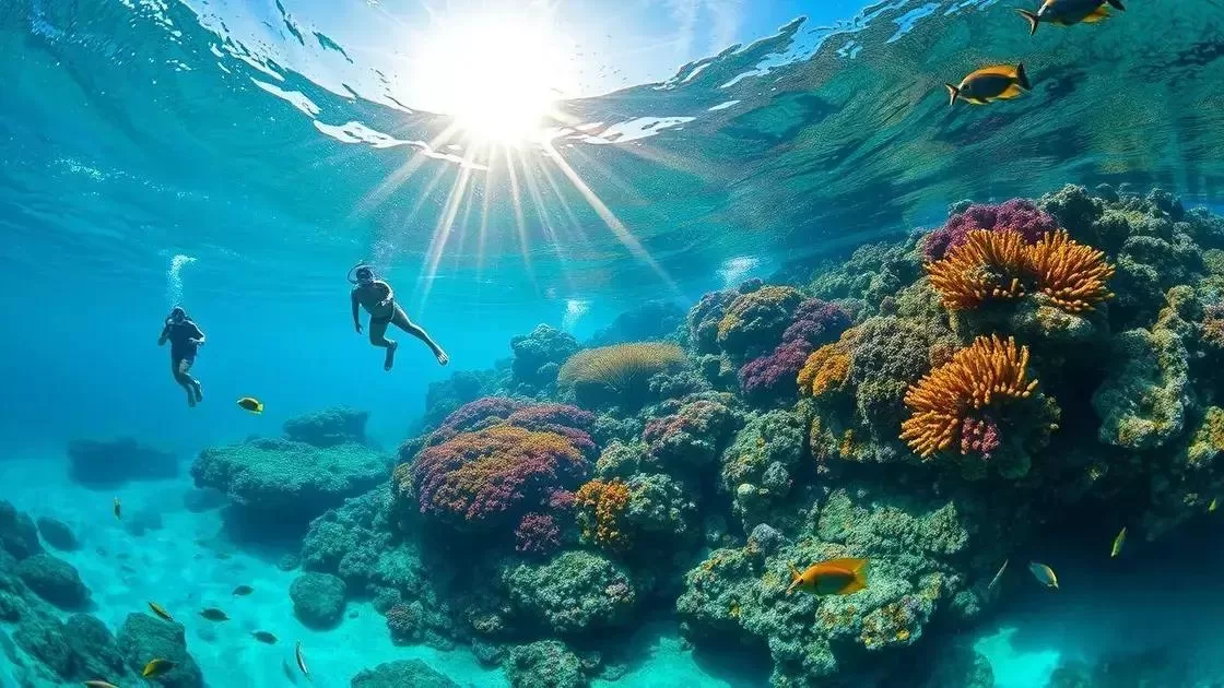 Como o clima afeta a vida marinha e os passeios Como o clima afeta a vida marinha e os passeios