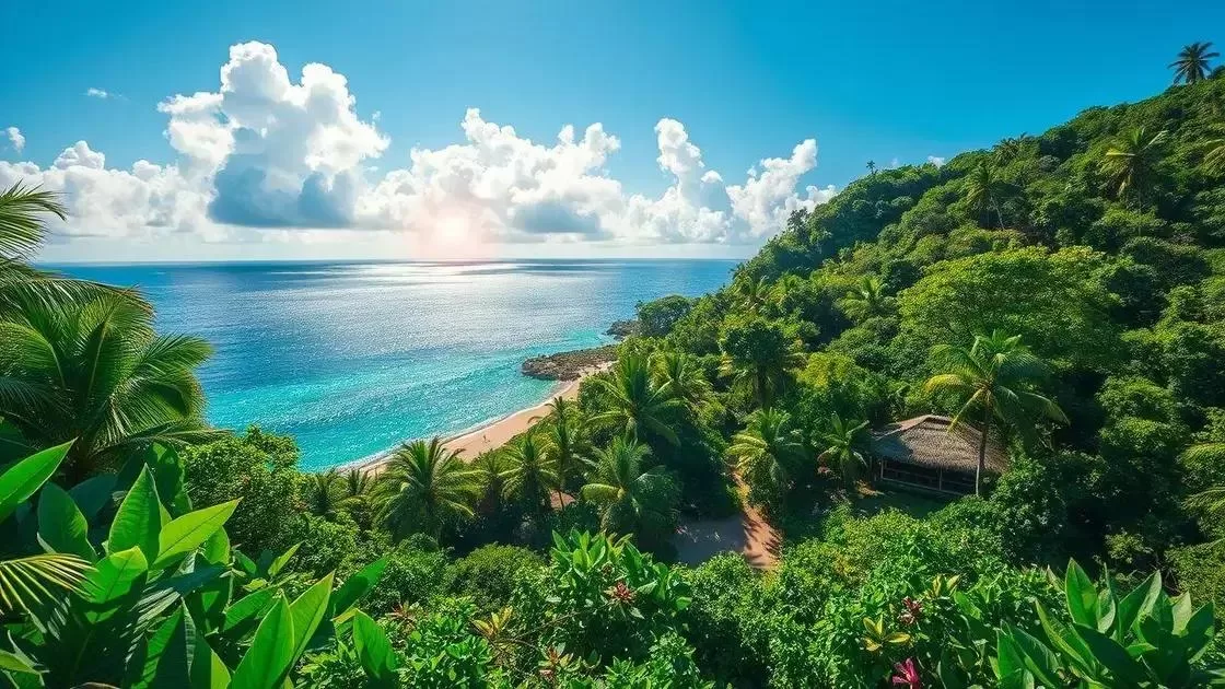 Entendendo o clima tropical das Ilhas Salomão Entendendo o clima tropical das Ilhas Salomão