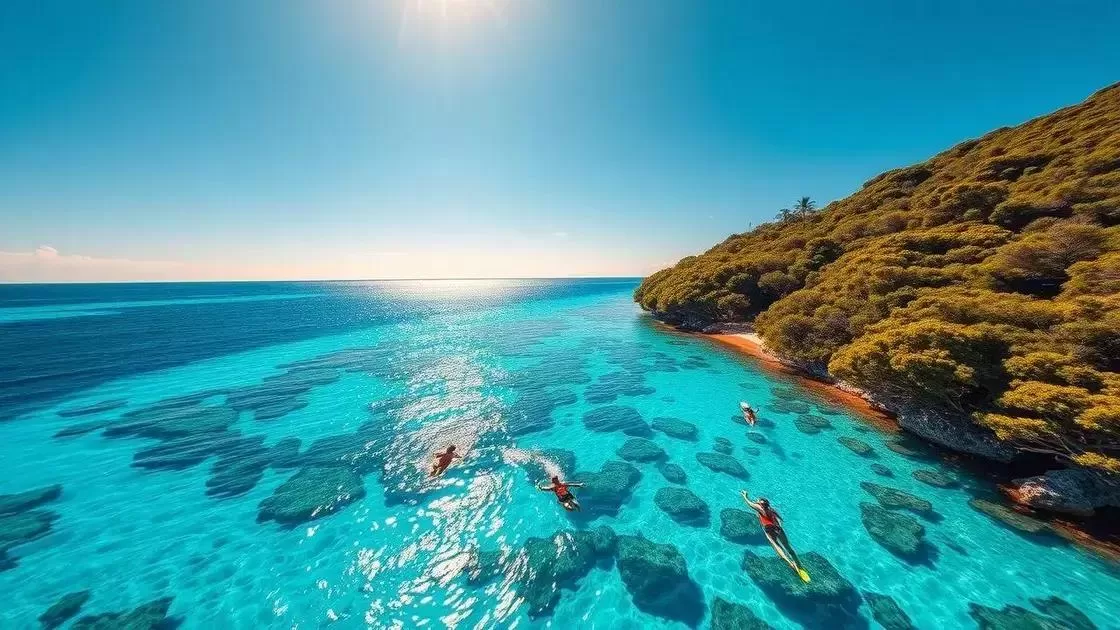 Melhor época para visitar a costa leste e a Grande Barreira de Corais Melhor época para visitar a costa leste e a Grande Barreira de Corais