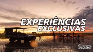 experiencias exclusivas