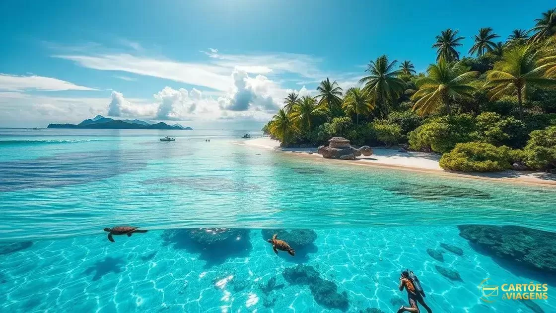 melhores praias e pontos de mergulho melhores praias e pontos de mergulho